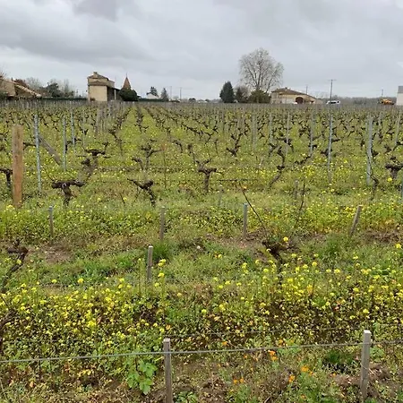 Château Roseyrol proche Saint-Emilion Extérieur photo