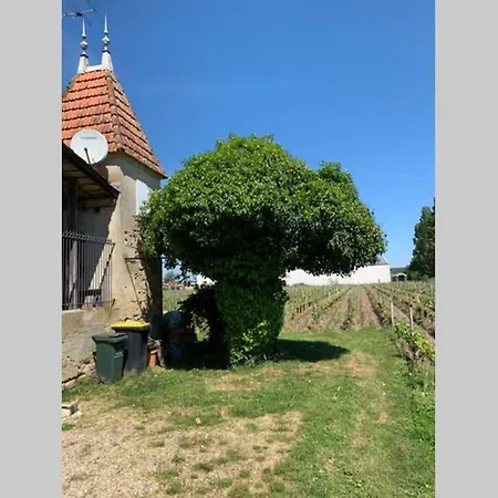 Château Roseyrol proche Saint-Emilion Extérieur photo
