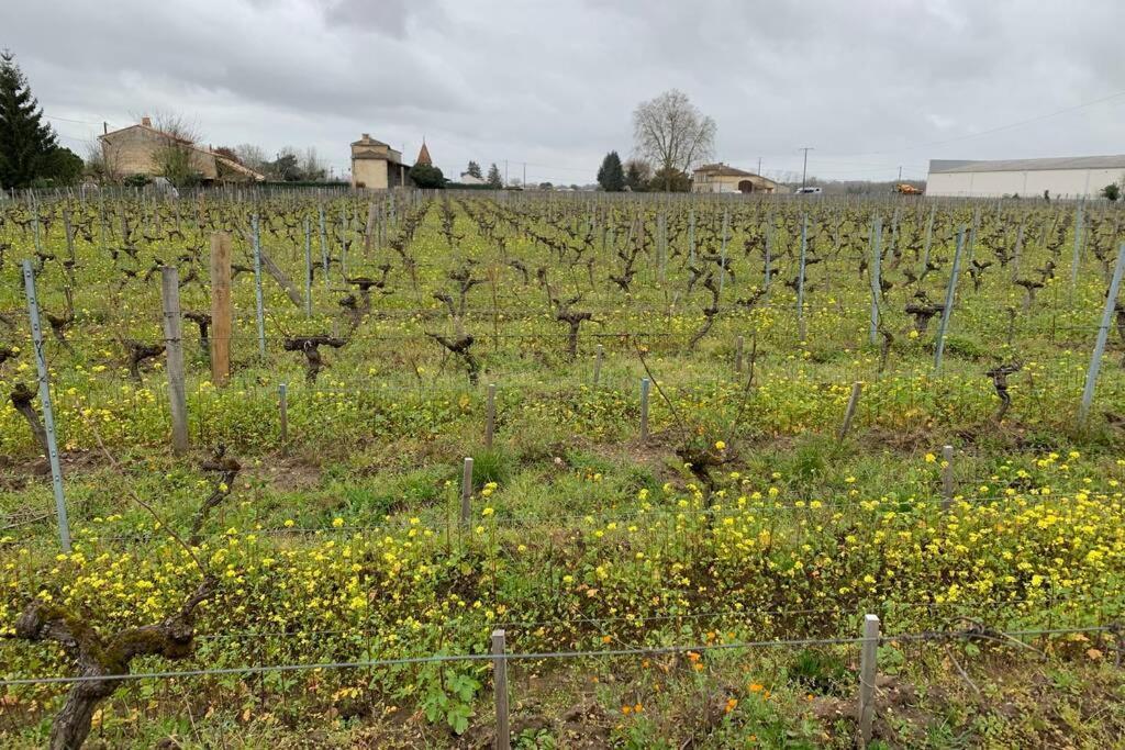 Chateau Roseyrol Proche Saint-emilion Saint-Magne-de-Castillon